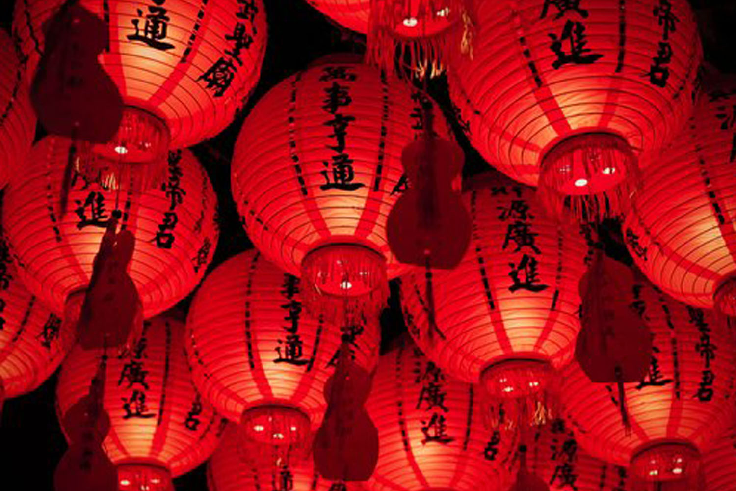 Lunar New Year Celebration Time